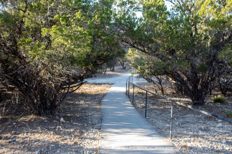 Pathway walking downhill from cabins to the main area.