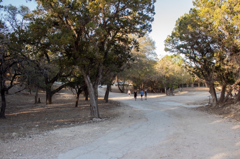 Guests walking towards the steak night dinner.