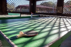 Close up of ping pong paddle and ball on a ping pong table