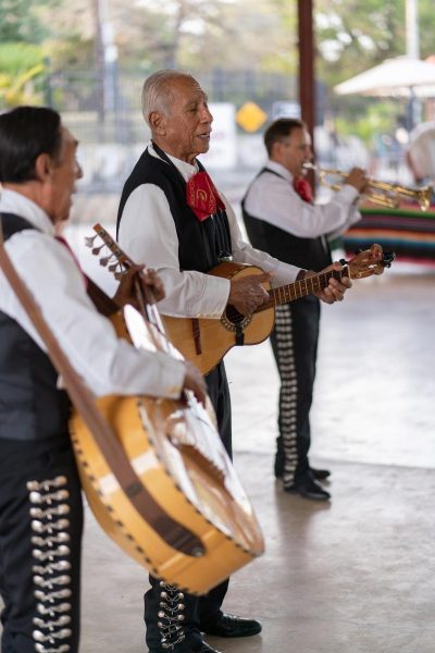 Mariachis